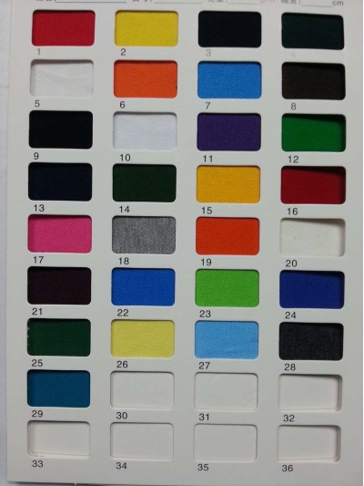 GZ-SGDU 加厚棉珠地 250G 45度照